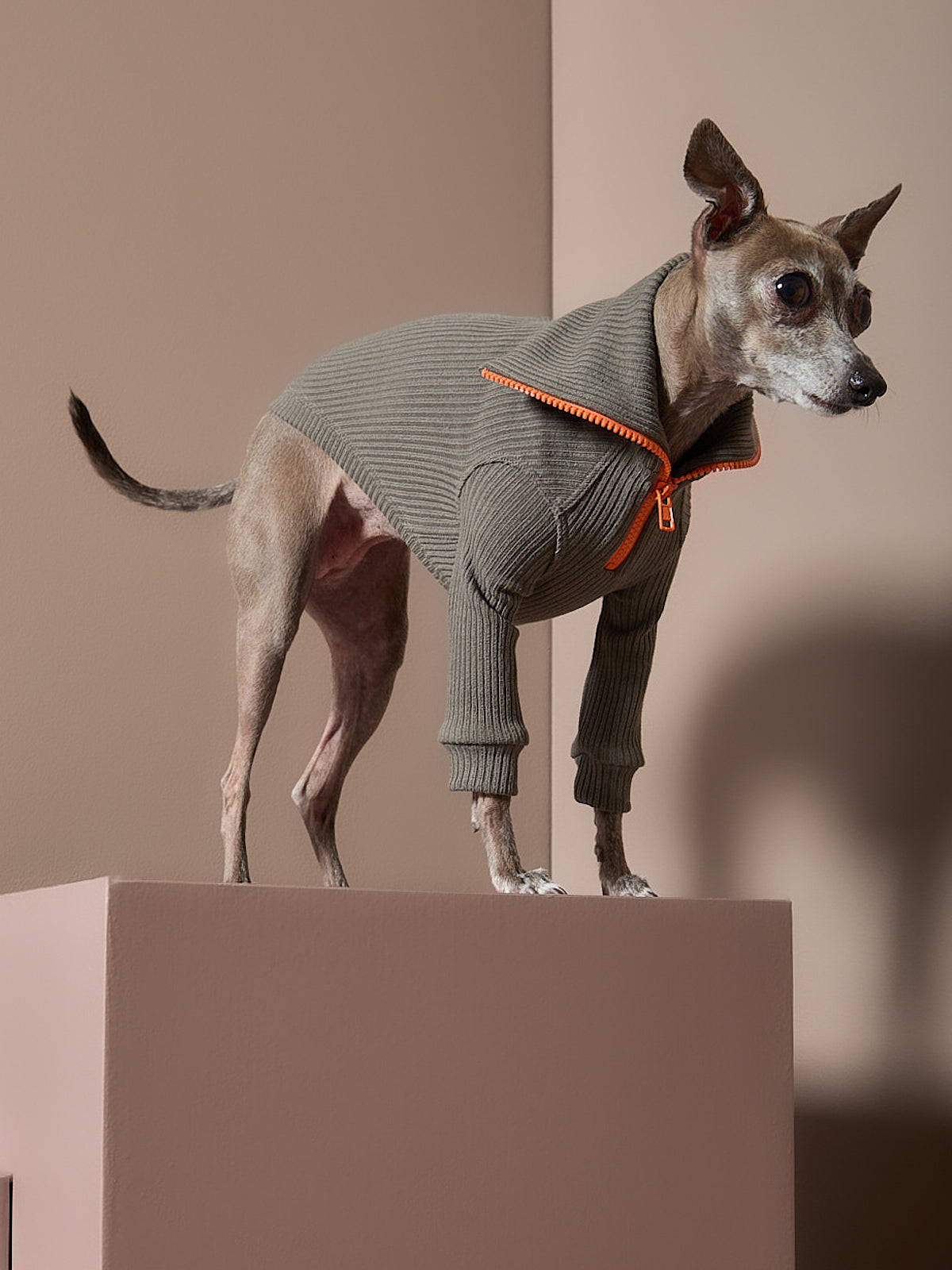 Sueter Verde Militar con Cierre Galgo Italiano / Whippet KNIT