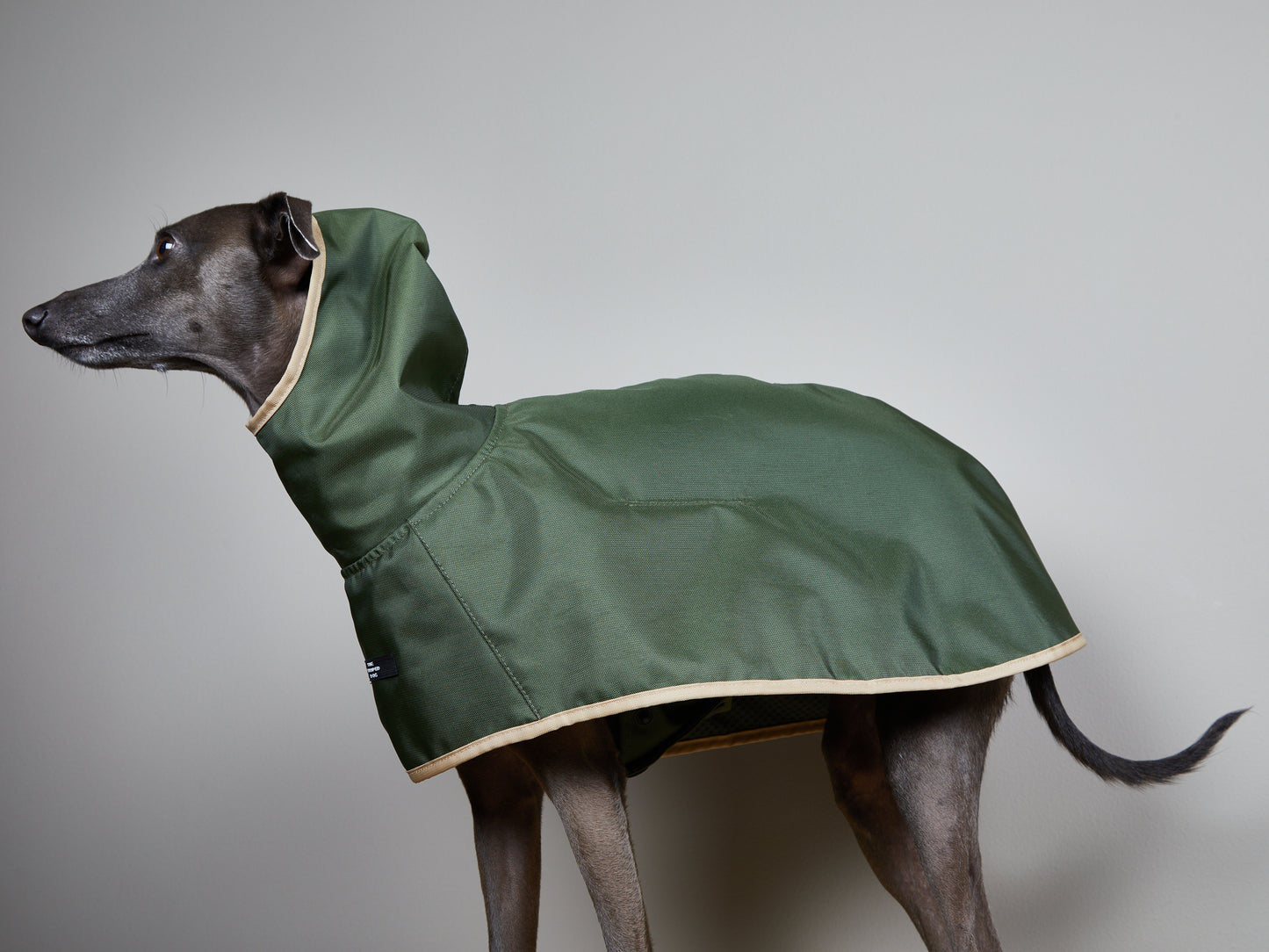 Capa Verde Impermeable con Capucha PARAMOUNT Galgo Italiano / Whippet