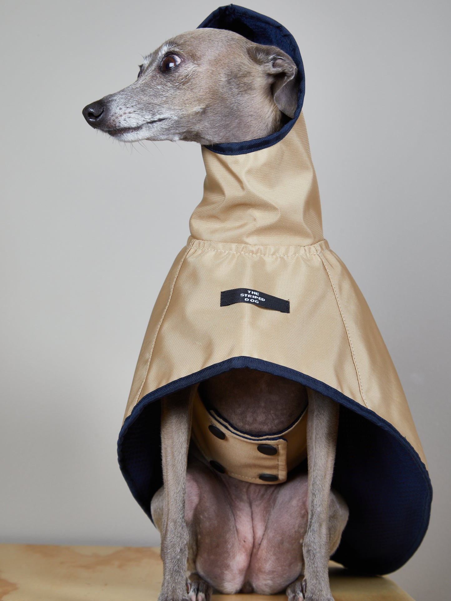 Capa Arena Impermeable con Capucha PARAMOUNT Galgo Italiano / Whippet