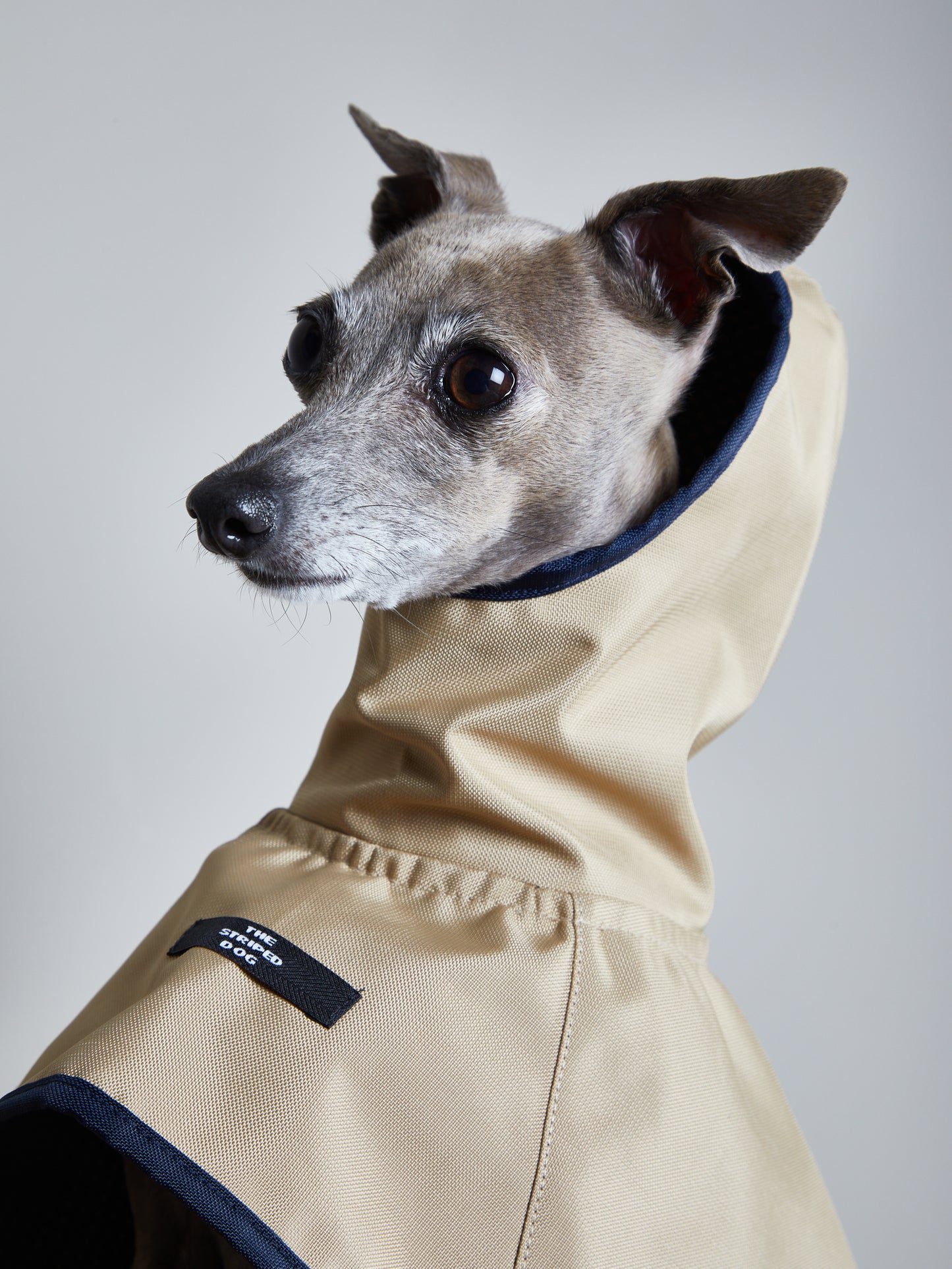 Capa Arena Impermeable con Capucha PARAMOUNT Galgo Italiano / Whippet