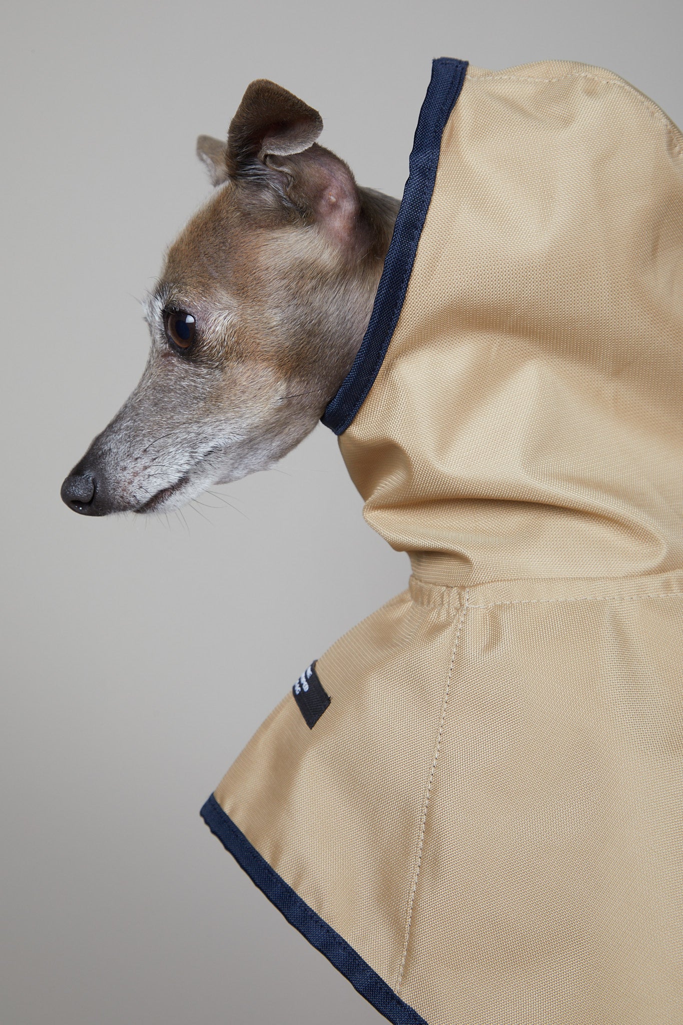 Capa Arena Impermeable con Capucha PARAMOUNT Galgo Italiano / Whippet