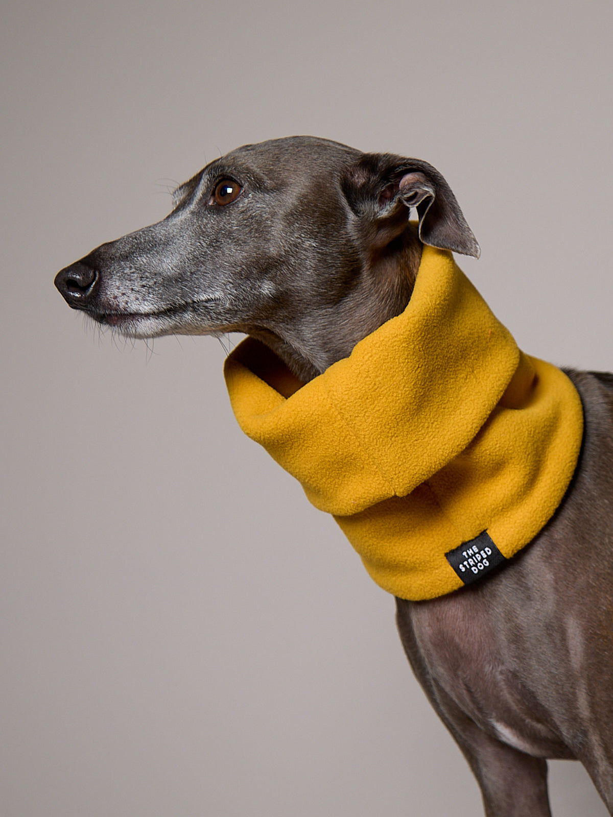 Cuello Mostaza en Fleece CHILL