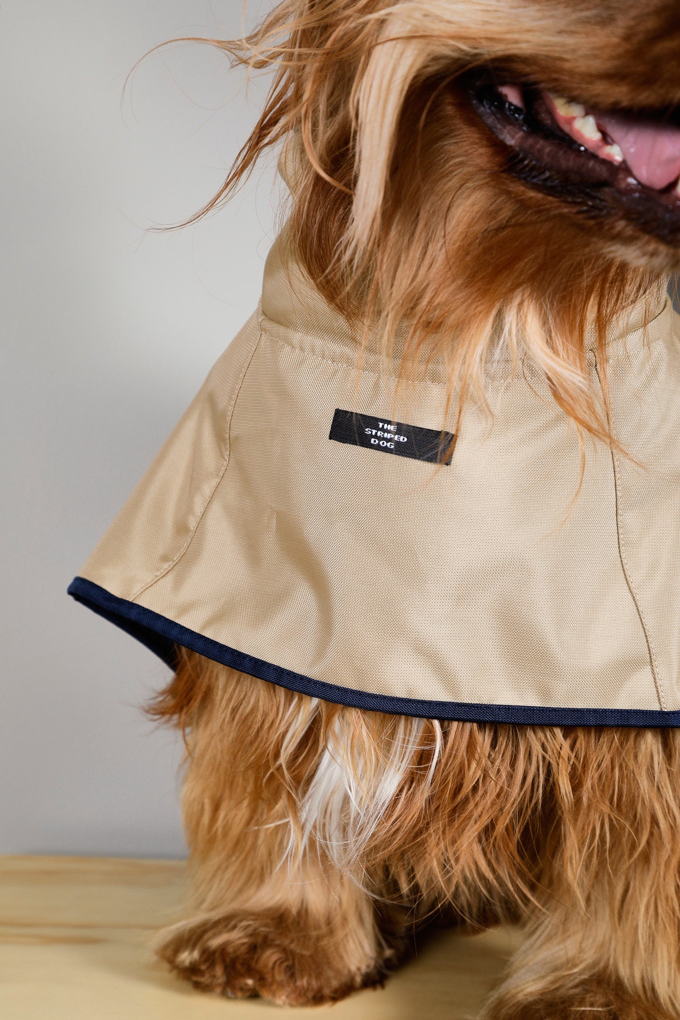 Capa Arena Impermeable con Capucha PARAMOUNT