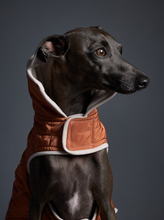 Cargar imagen en el visor de la galería, Chaqueta Reversible Impermeable Terracotta Galgo Italiano / Whippet SUNSET
