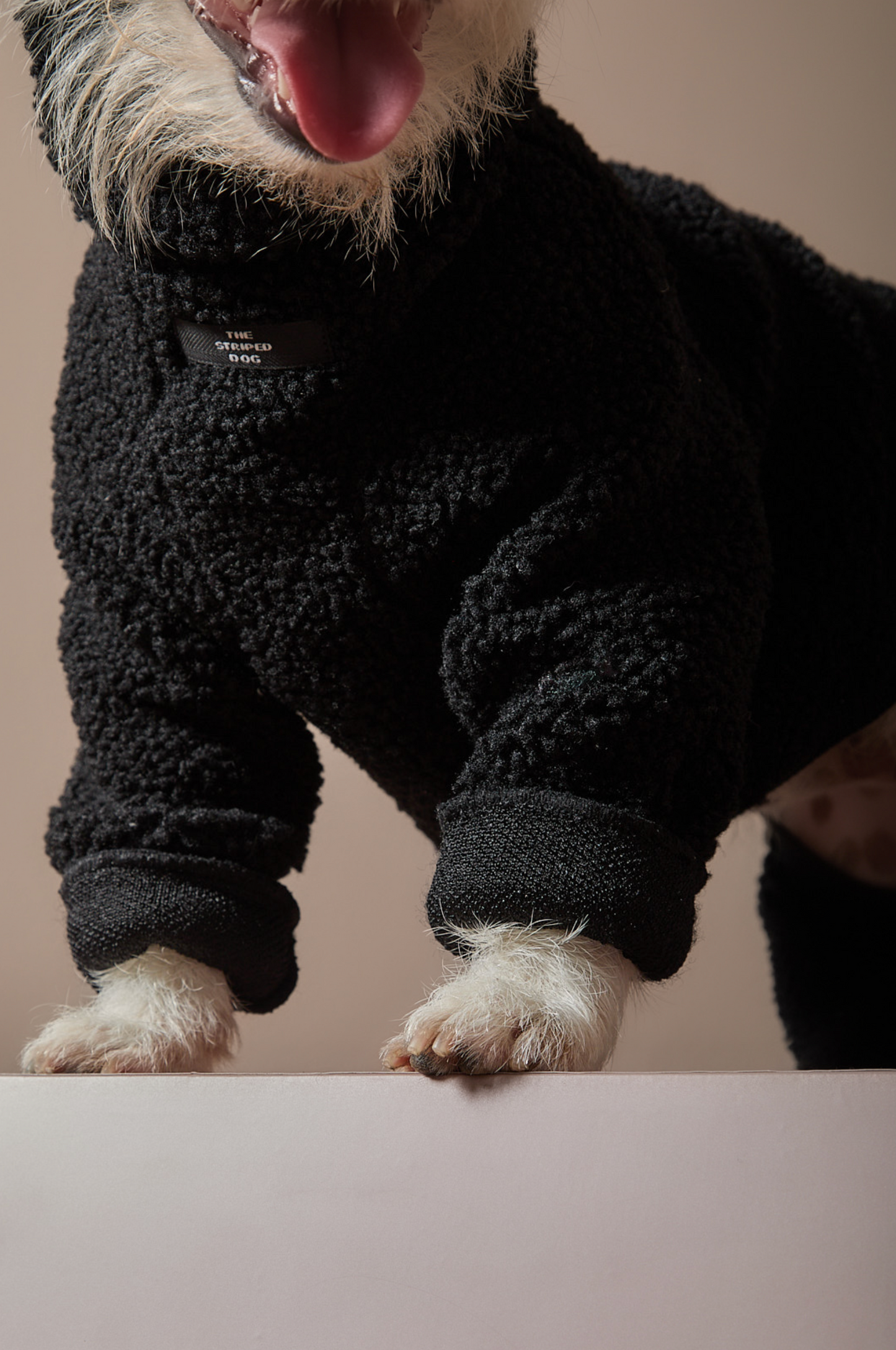 Enterizo Negro Cuello Tortuga  ROMA