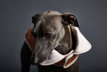 Cargar imagen en el visor de la galería, Chaqueta Reversible Impermeable Terracotta Galgo Italiano / Whippet SUNSET
