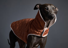 Cargar imagen en el visor de la galería, Chaqueta Reversible Impermeable Terracotta Galgo Italiano / Whippet SUNSET
