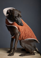 Cargar imagen en el visor de la galería, Chaqueta Reversible Impermeable Terracotta Galgo Italiano / Whippet SUNSET
