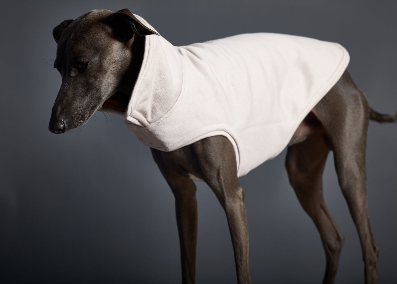 Chaqueta Reversible Impermeable Terracotta Galgo Italiano / Whippet SUNSET