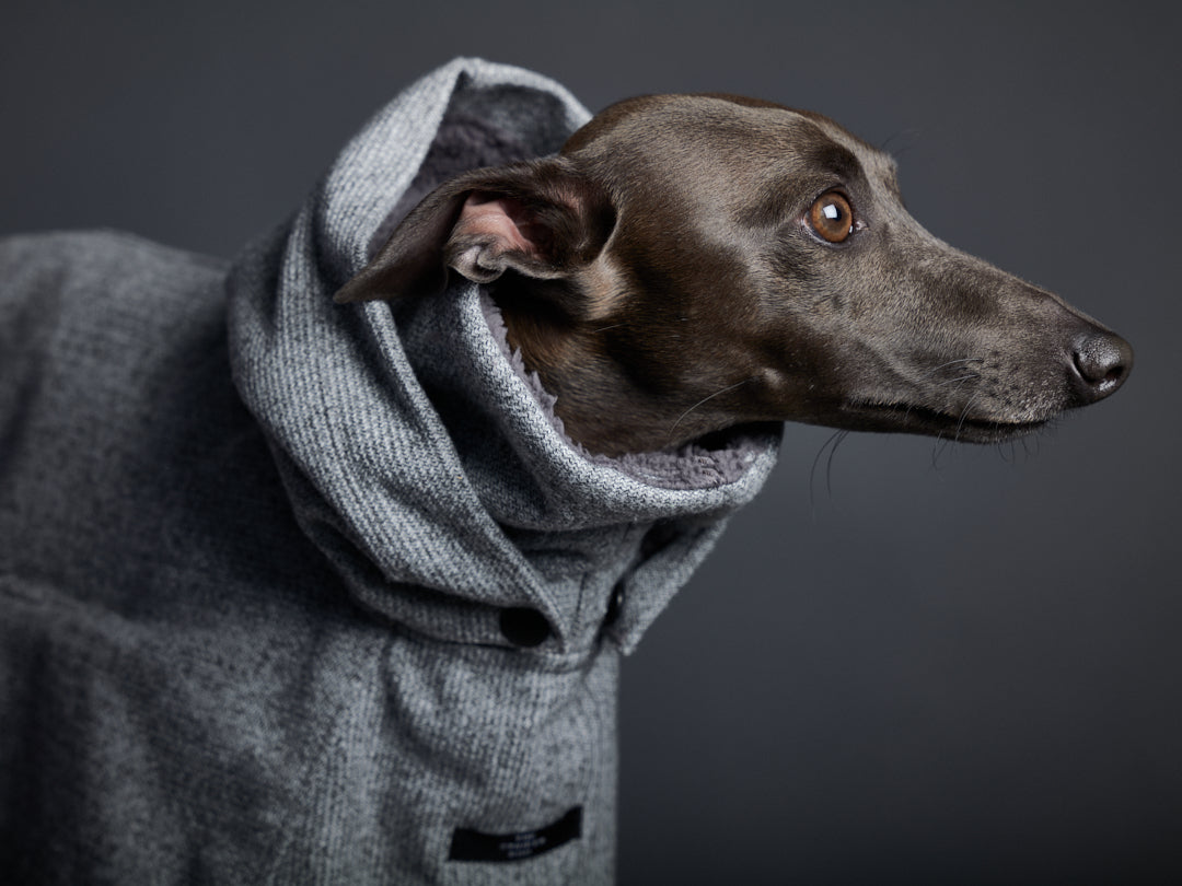 Capa Gris Cuello Tortuga con Capucha y Forro Peludo DOWNEY Galgo Italiano / Whippet