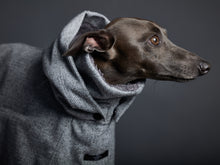 Cargar imagen en el visor de la galería, Capa Gris Cuello Tortuga con Capucha y Forro Peludo DOWNEY Galgo Italiano / Whippet
