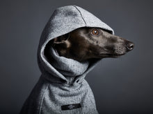 Cargar imagen en el visor de la galería, Capa Gris Cuello Tortuga con Capucha y Forro Peludo DOWNEY Galgo Italiano / Whippet
