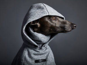 Capa Gris Cuello Tortuga con Capucha y Forro Peludo DOWNEY Galgo Italiano / Whippet