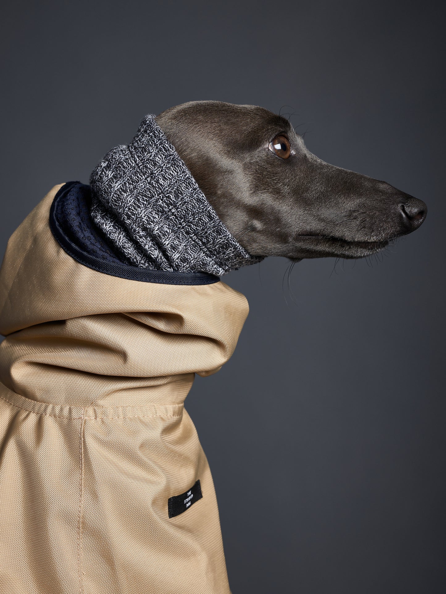 Capa Arena Impermeable con Capucha PARAMOUNT Galgo Italiano / Whippet