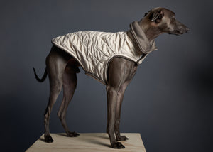 Chaqueta Reversible Impermeable Crema Galgo Italiano / Whippet SUNSET