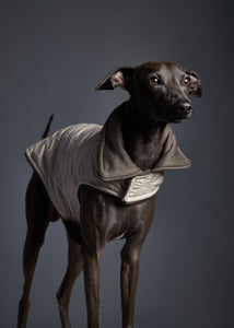 Chaqueta Reversible Impermeable Crema Galgo Italiano / Whippet SUNSET