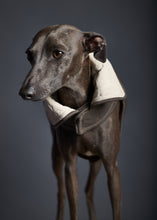 Cargar imagen en el visor de la galería, Chaqueta Reversible Impermeable Crema Galgo Italiano / Whippet SUNSET
