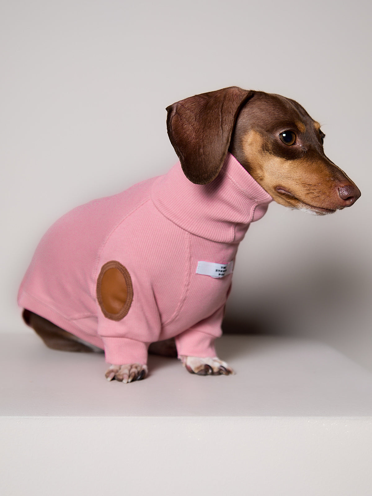 Sueter de Rib Cuello Tortuga Rosado y Parches MIST para Perro Salchicha