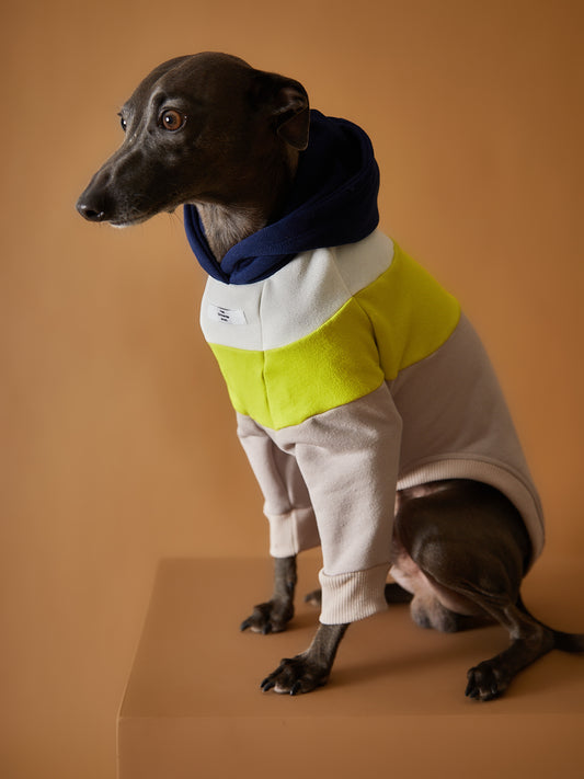 Buzo capucha para Galgo Italiano y Whippet