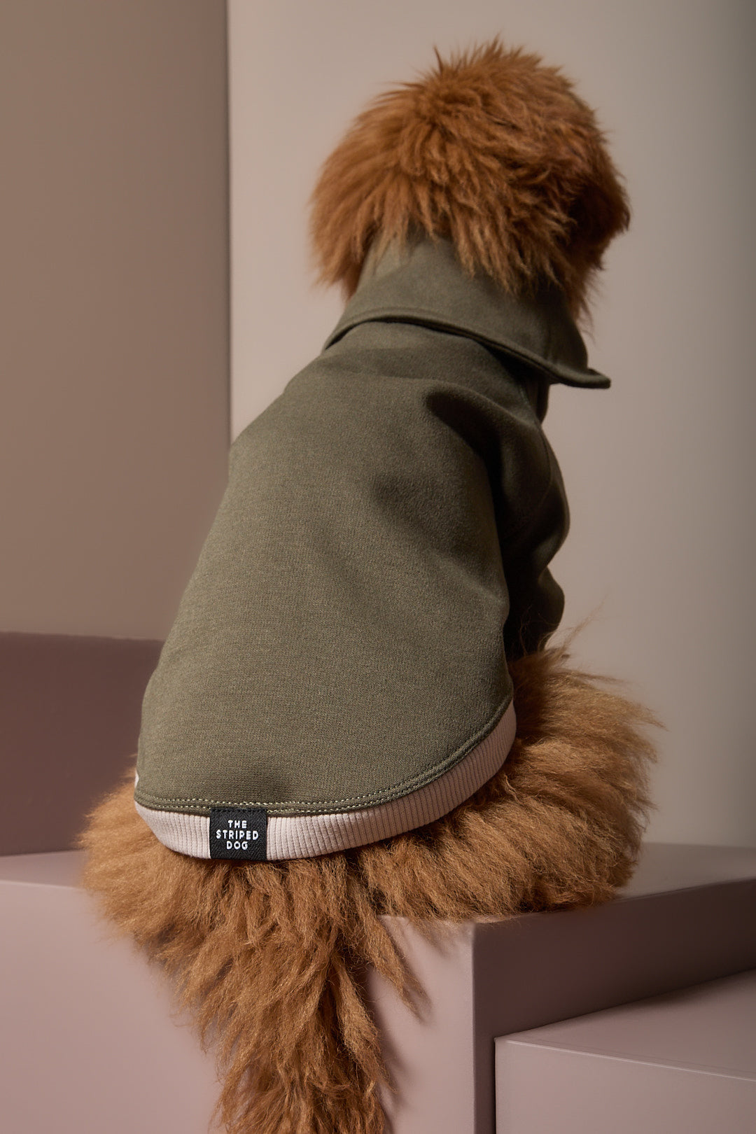 Buzo Verde Cuello Tortuga  STONE