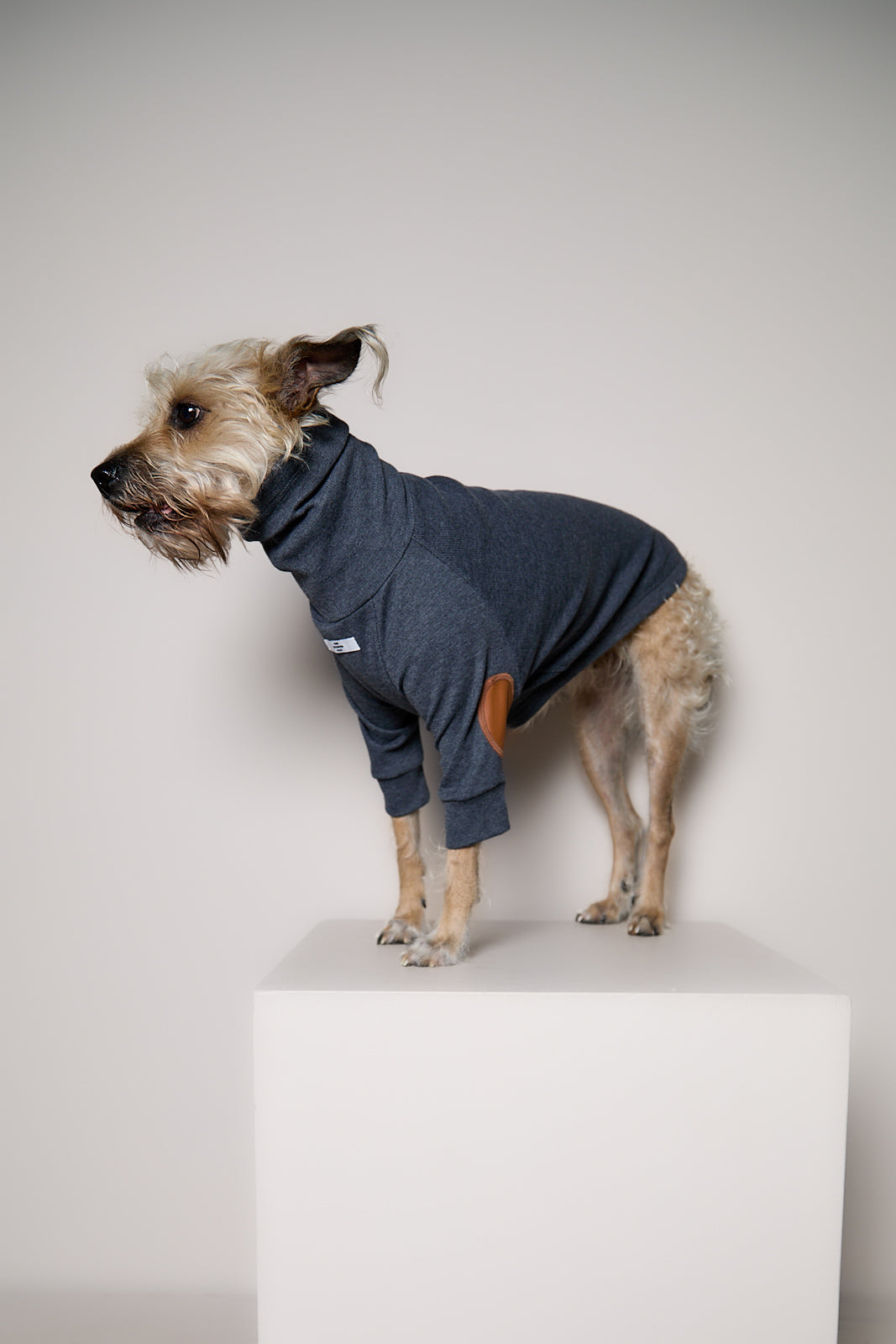 Sueter de Rib Cuello Tortuga Azul Jaspe y Parches MIST para Perro Standard