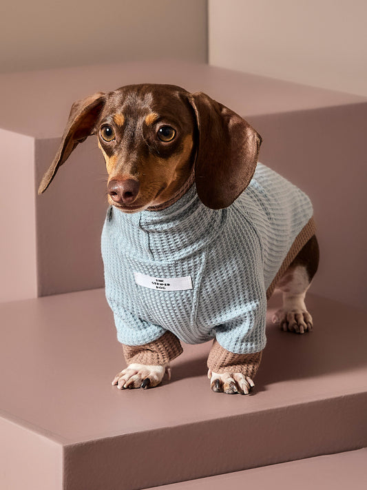 Sueter Waffle Azul GRAIN para perro Salchicha