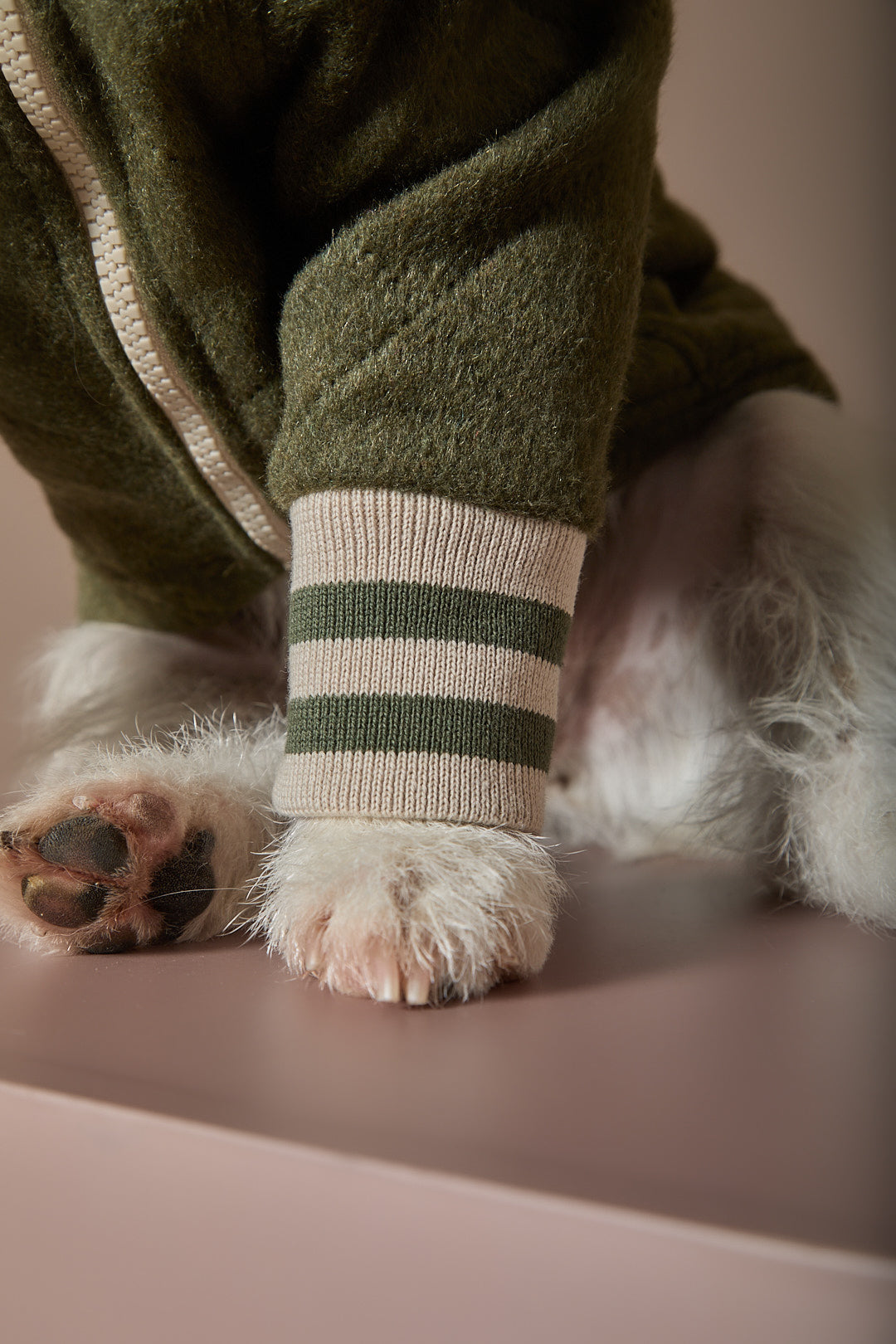 Chaqueta Bomber Verde MOSS