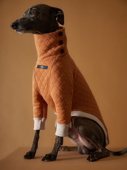 Sueter Terracota Acolchado Galgo Italiano / Whippet BAGUETTE