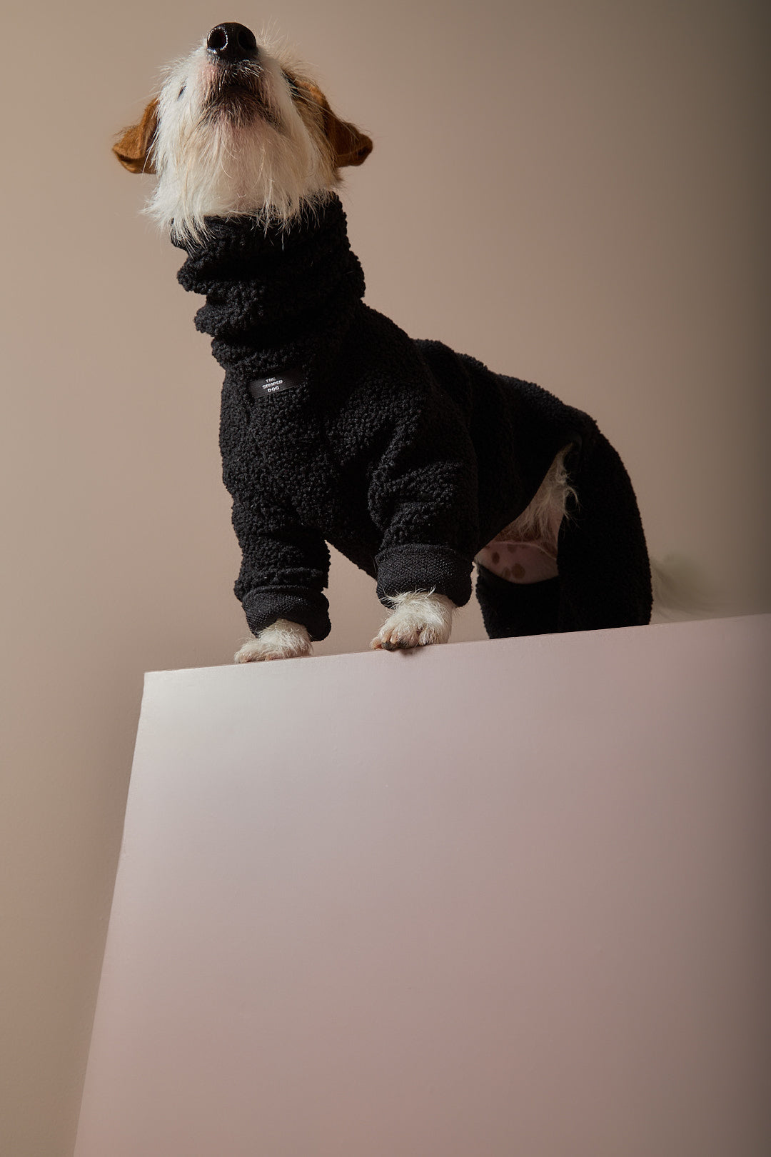 Enterizo Negro Cuello Tortuga  ROMA