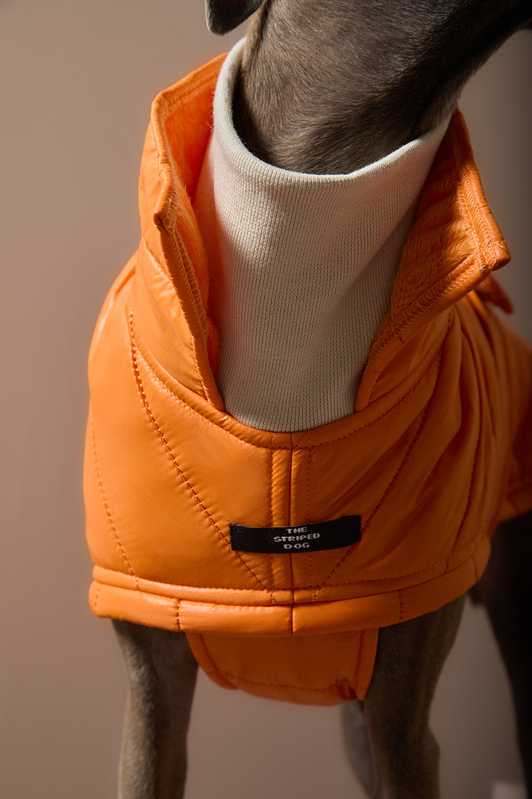 Chaqueta Naranja Acolchada EMBER para Galgo Italiano / Whippet