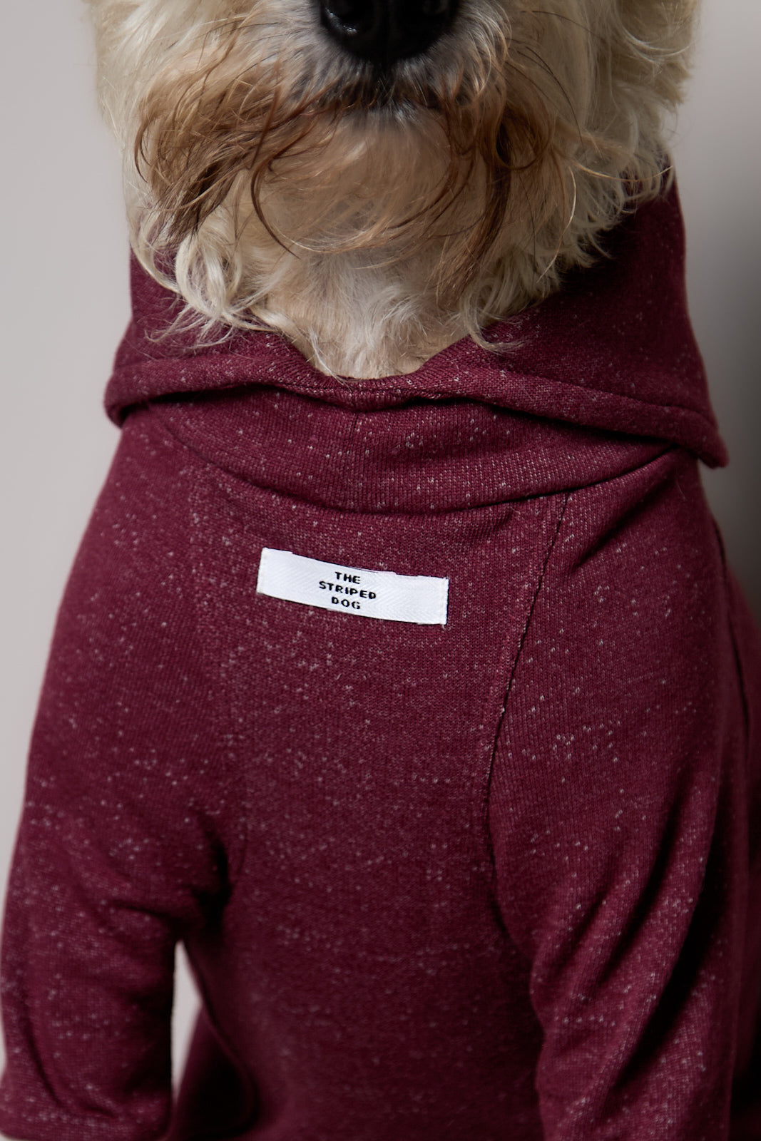 Sueter Cuello Alto Vinotinto DUSK para Perro Standard