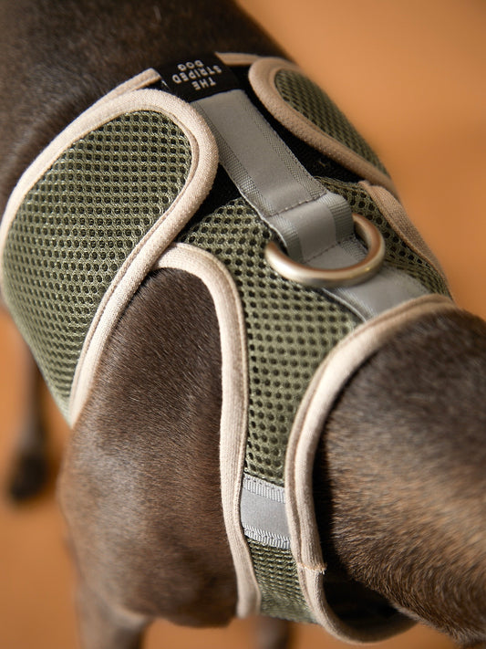 Arnes Neopreno Verde Militar Galgo Italiano / Whippet CLAREMONT
