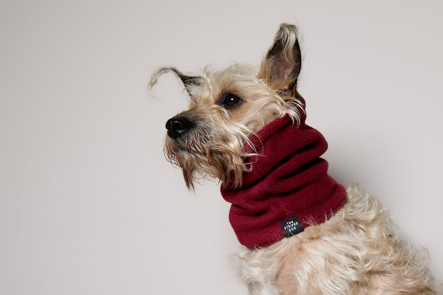 Cuello Vinotinto en Fleece CHILL