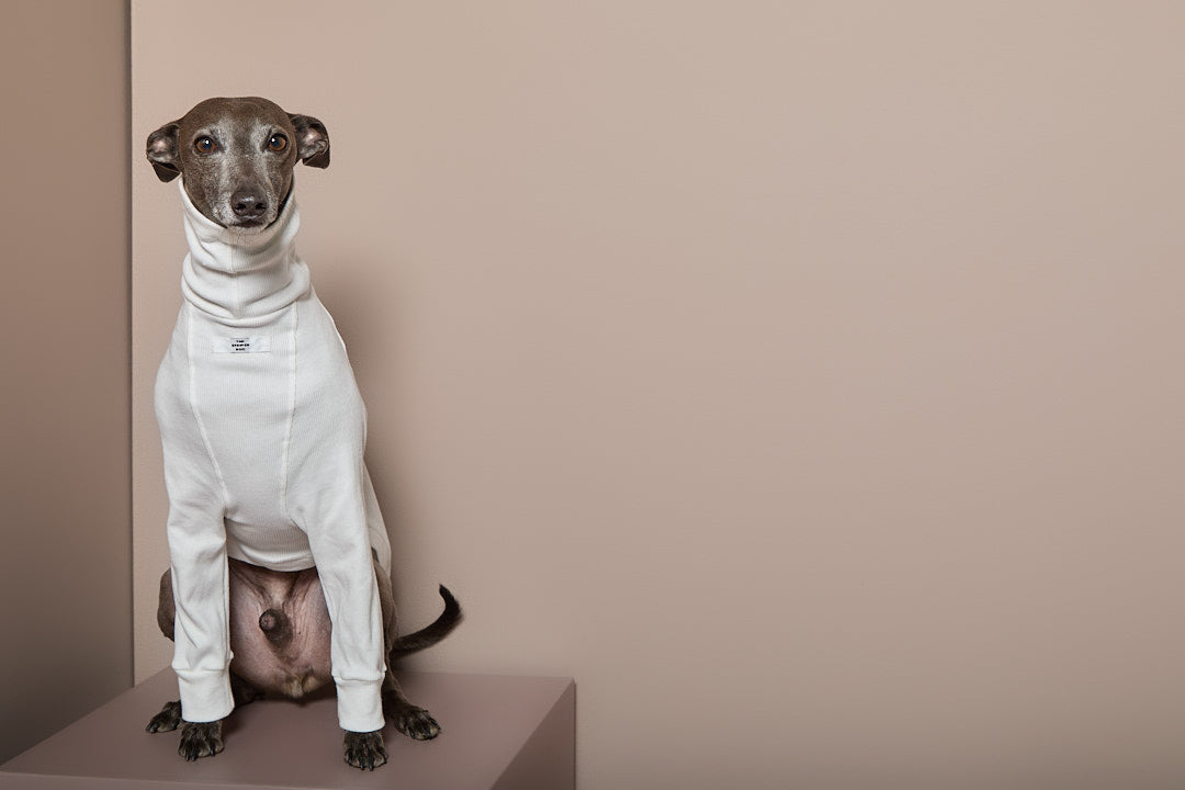 Sueter Crema Cuello Tortuga Galgo Italiano / Whippet COVE