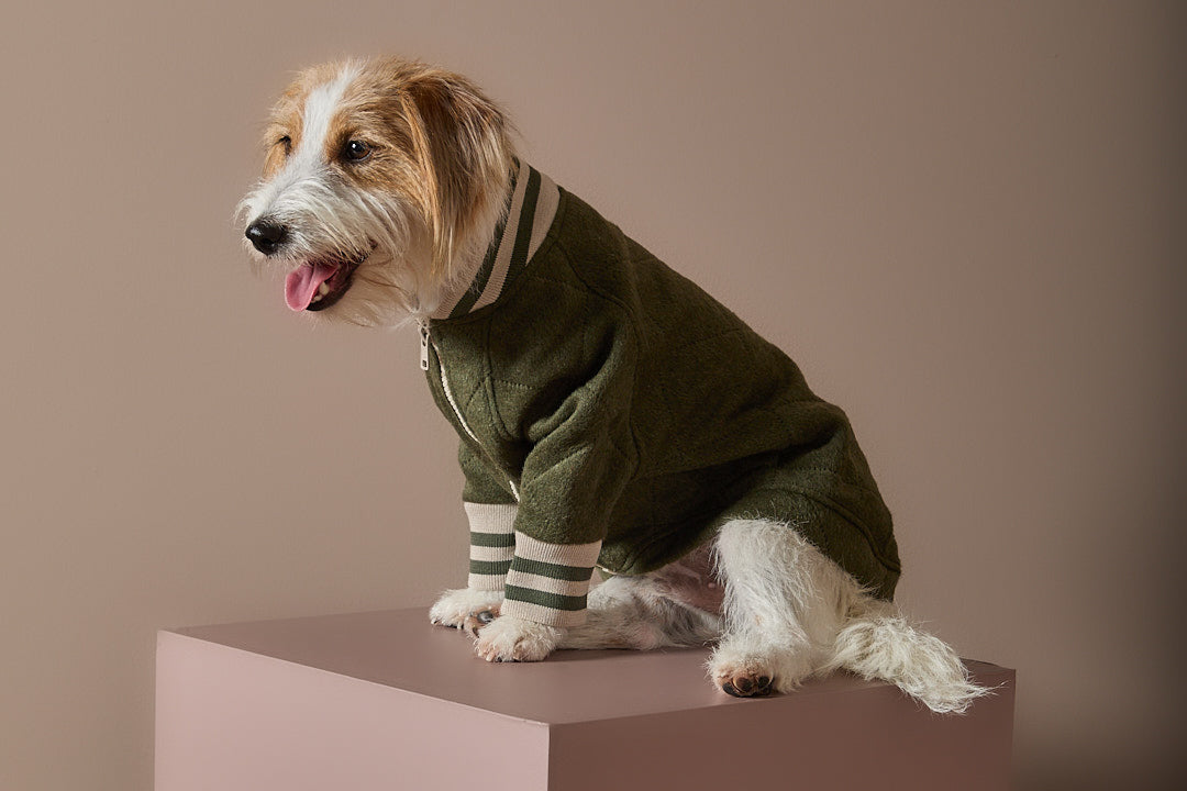 Chaqueta Bomber Verde MOSS