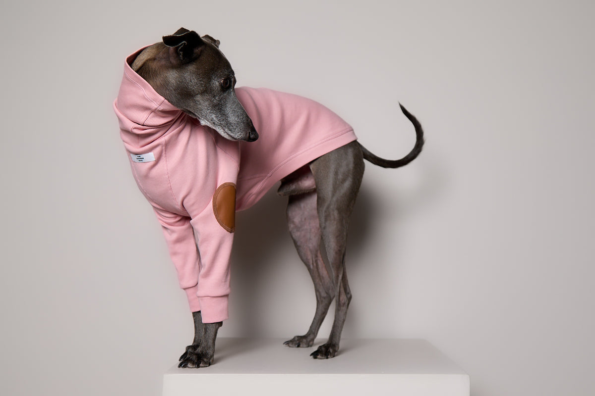 Sueter de Rib Cuello Tortuga Rosado y Parches MIST para Galgo Italiano / Whippet