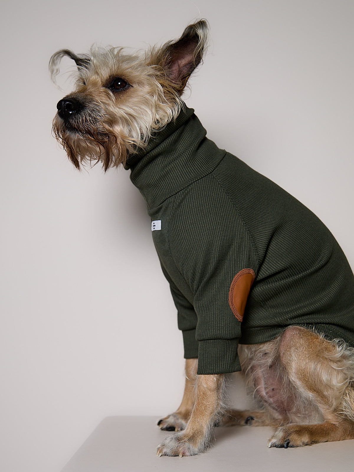 Sueter de Rib Cuello Tortuga Verde Oliva y Parches MIST para Perro Standard