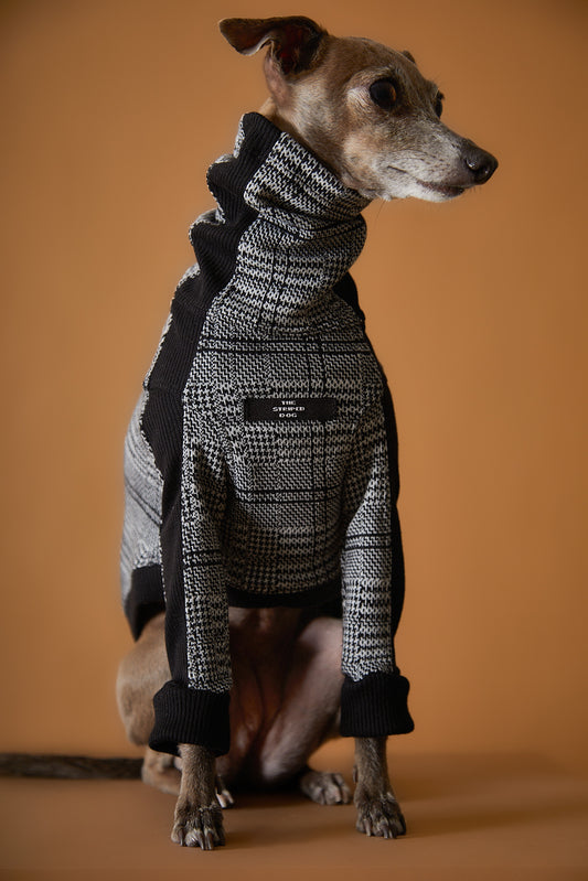 Sueter Cuello Tortuga en Jacquard a Cuadros Galgo Italiano / Whippet YVES