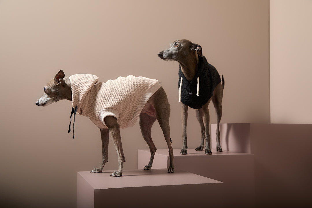 Chaleco Arena Texturizado con Capucha Galgo Italiano / Whippet BIRCH