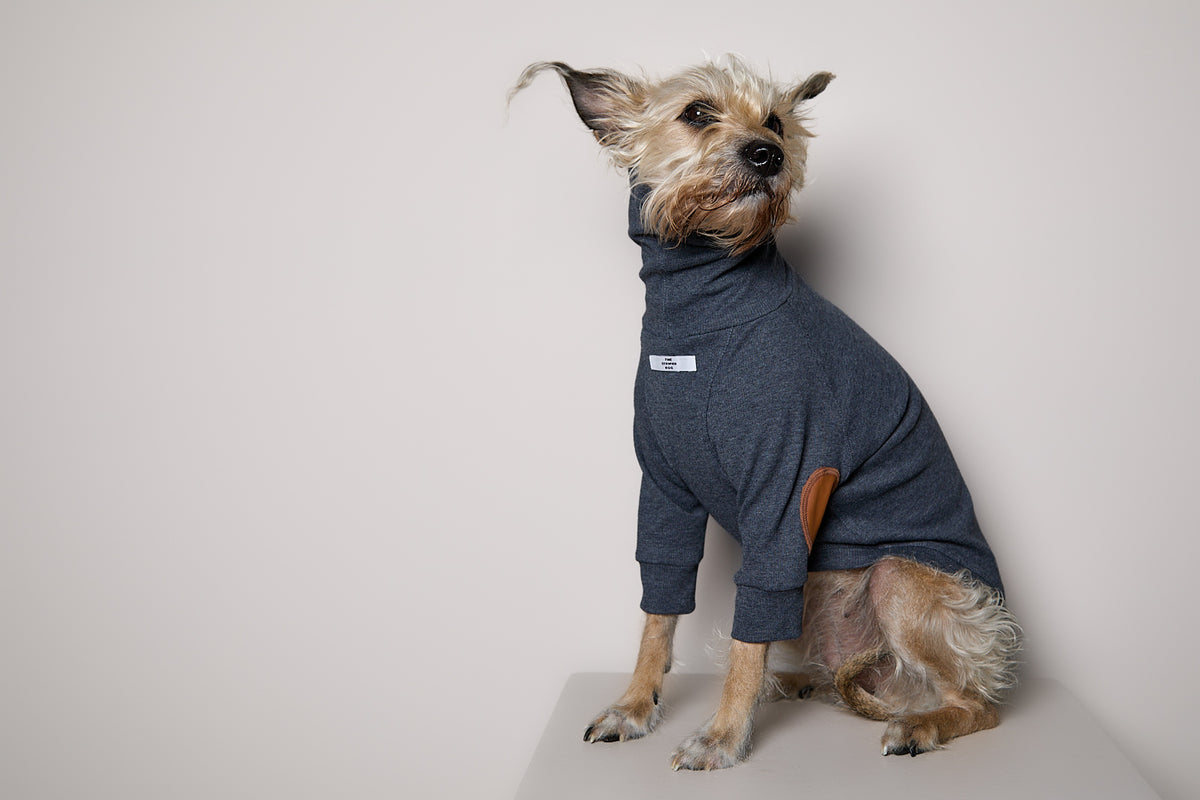 Sueter de Rib Cuello Tortuga Azul Jaspe y Parches MIST para Perro Standard