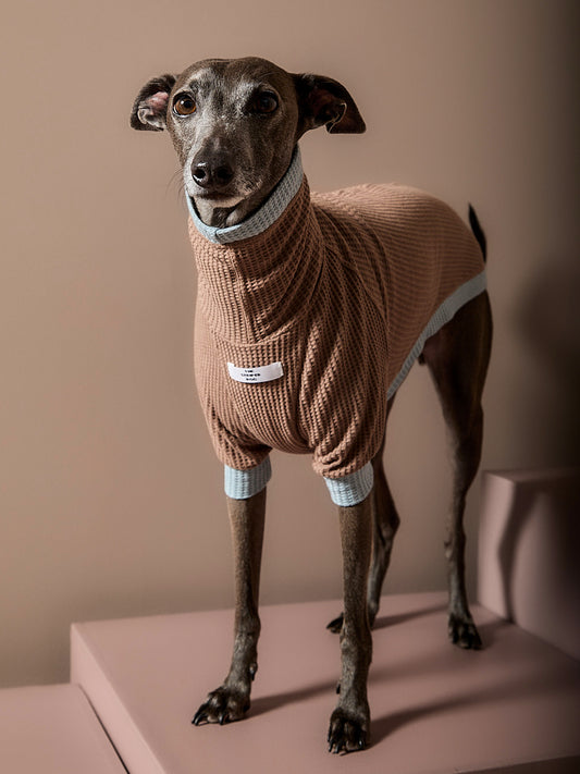 Sueter Waffle Moka GRAIN para Galgo Italiano / Whippet