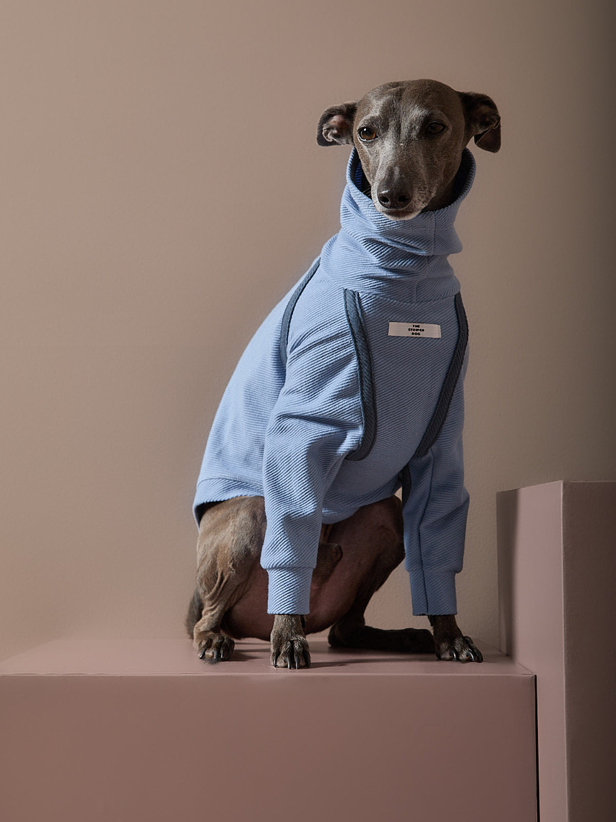 Sueter Azul Claro Cuello Tortuga Galgo Italiano / Whippet CAIRO