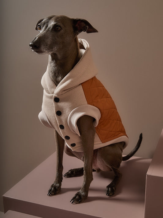 Chaleco Acolchado DUNE Galgo Italiano / Whippet