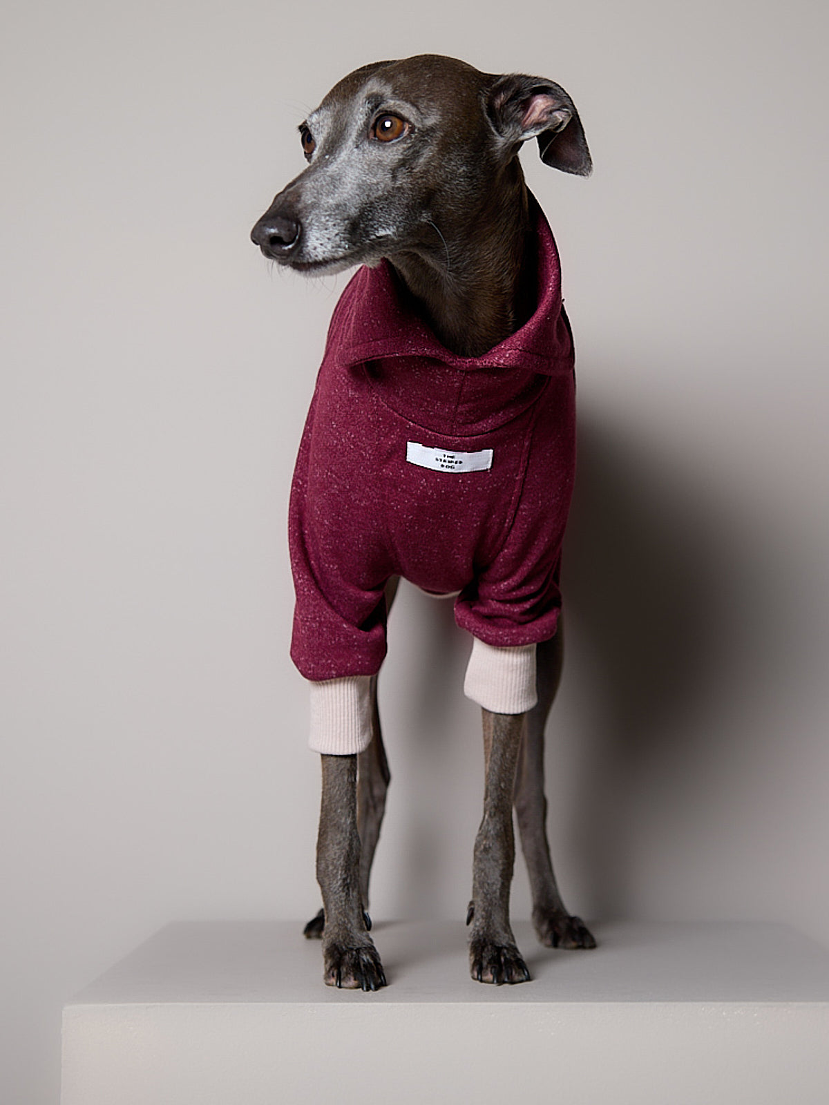 Sueter Cuello Alto Vinotinto DUSK para Galgo Italiano / Whippet