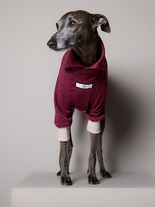 Sueter Cuello Alto Vinotinto DUSK para Galgo Italiano / Whippet