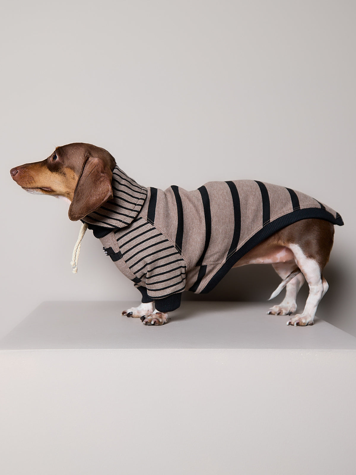 Sueter de Rayas Taupe y Negro LINE para Perro Salchicha