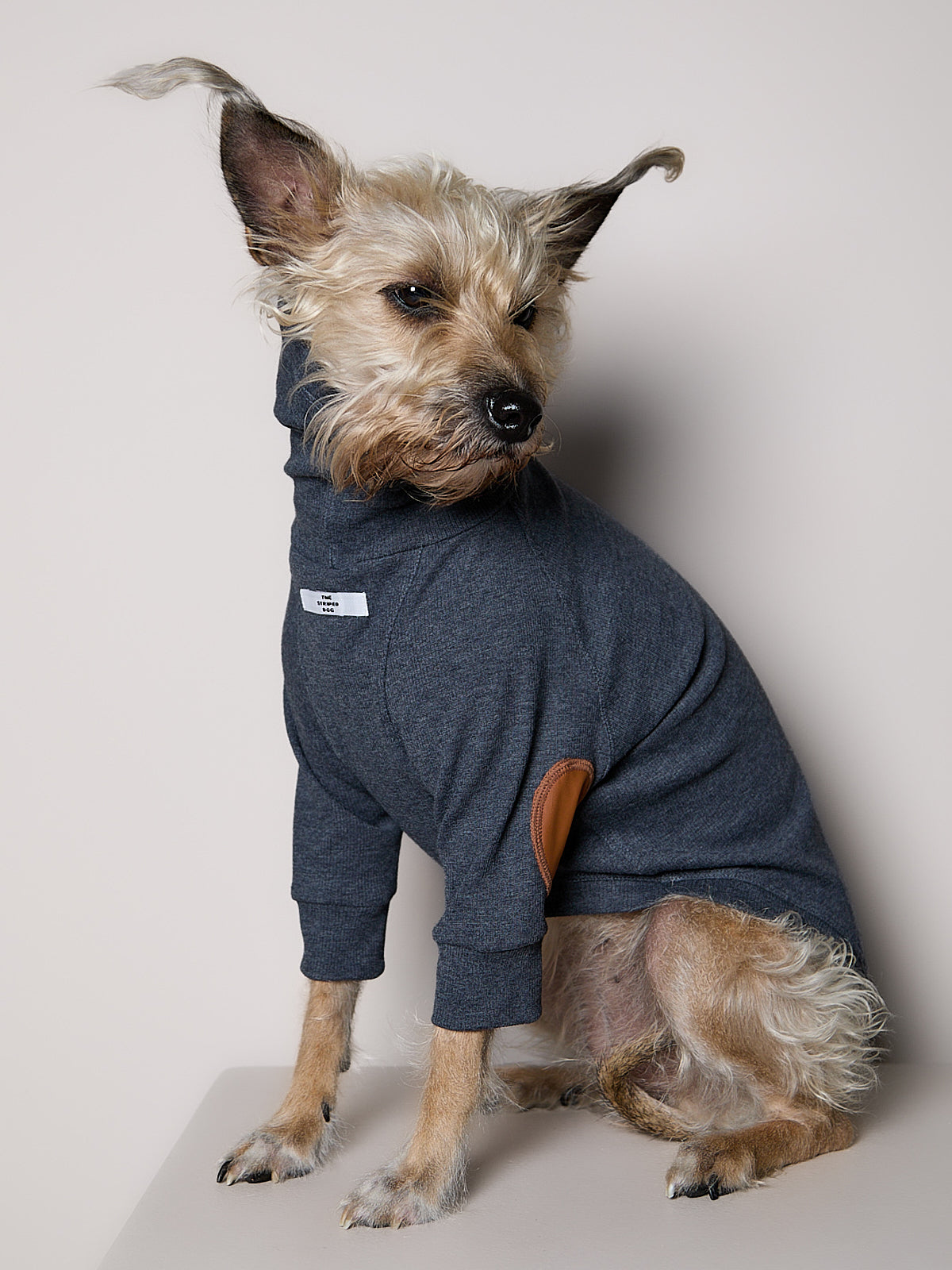 Sueter de Rib Cuello Tortuga Azul Jaspe y Parches MIST para Perro Standard