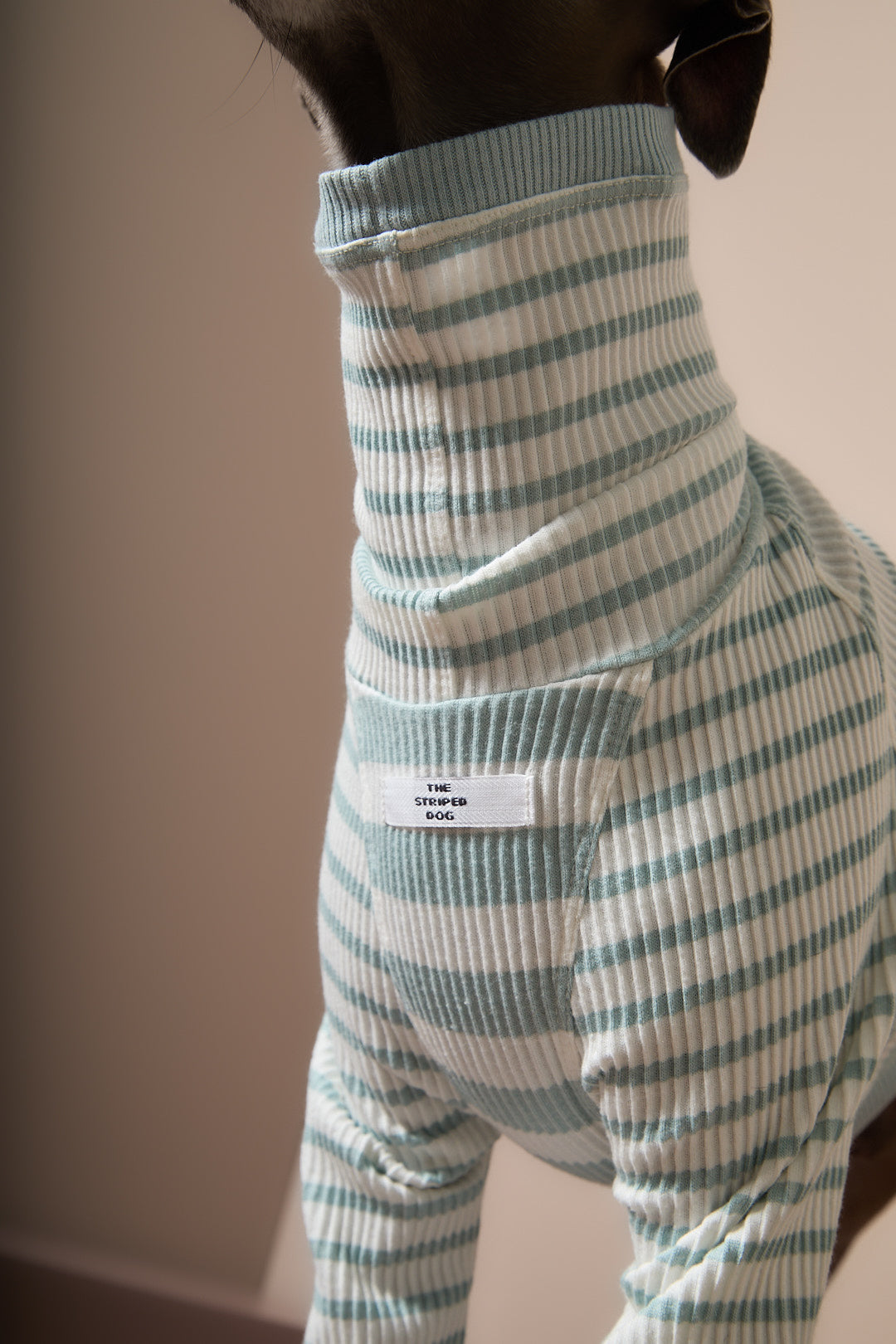 Sueter Rayas Turquesa y Crema Cuello Tortuga Galgo Italiano / Whippet REED