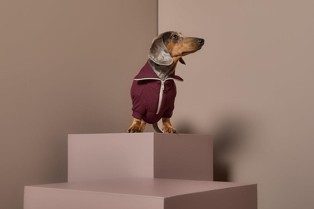 Sueter Vinotinto con Cierre Salchicha KNIT