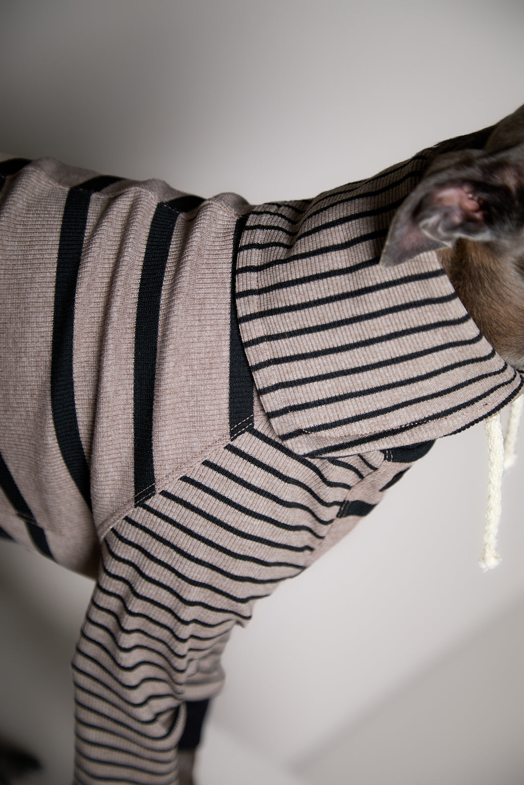 Sueter de Rayas Taupe y Negro LINE para Galgo Italiano / Whippet